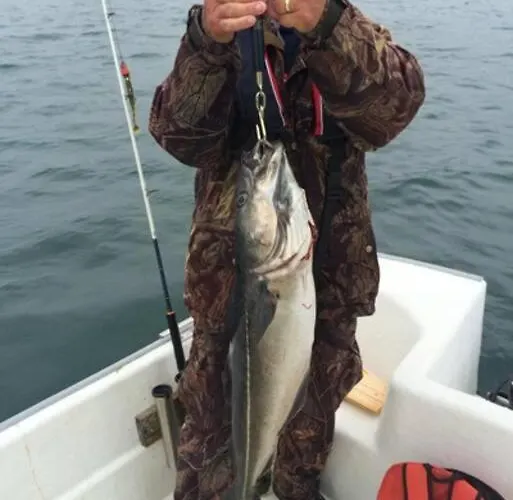 Vakantiehuis Edvinstua Solbakken *